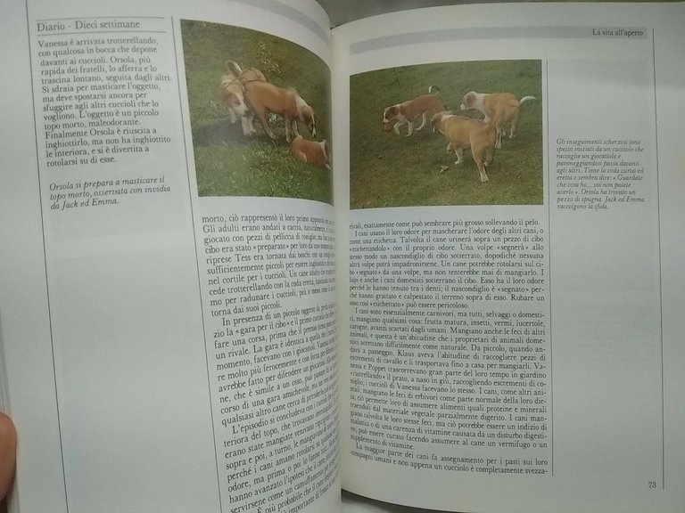 LIBRO VITA DA CANE BURTON JANE - ALLABY MICHAEL RIZZOLI …