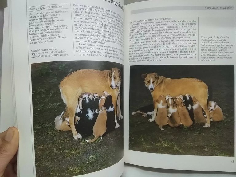 LIBRO VITA DA CANE BURTON JANE - ALLABY MICHAEL RIZZOLI …