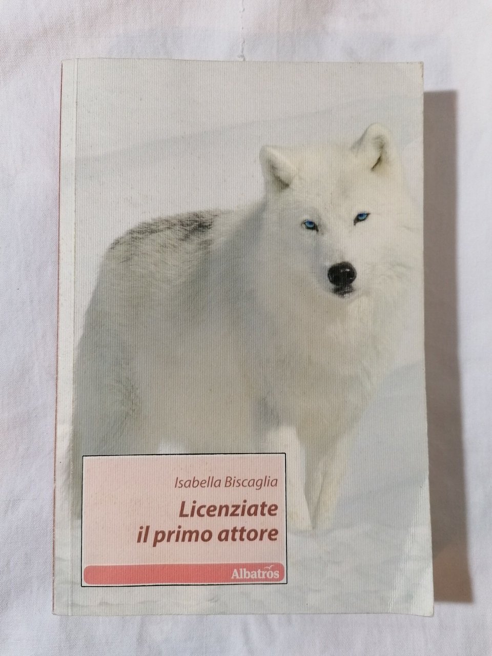 Licenziate il primo attore | Immagine principale