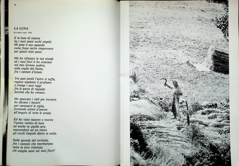 Liguritudine Omaggio al Ponente Ligure Libro Illustrato Costa Tavanti Casabianca