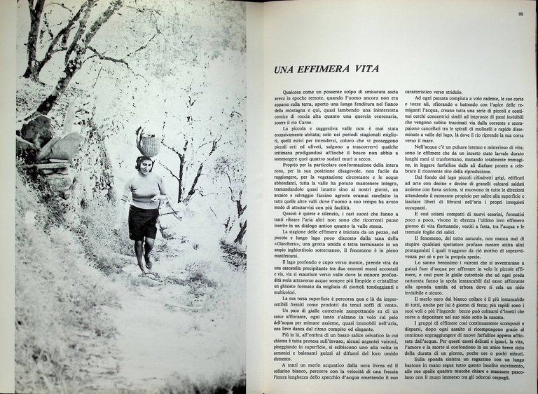 Liguritudine Omaggio al Ponente Ligure Libro Illustrato Costa Tavanti Casabianca