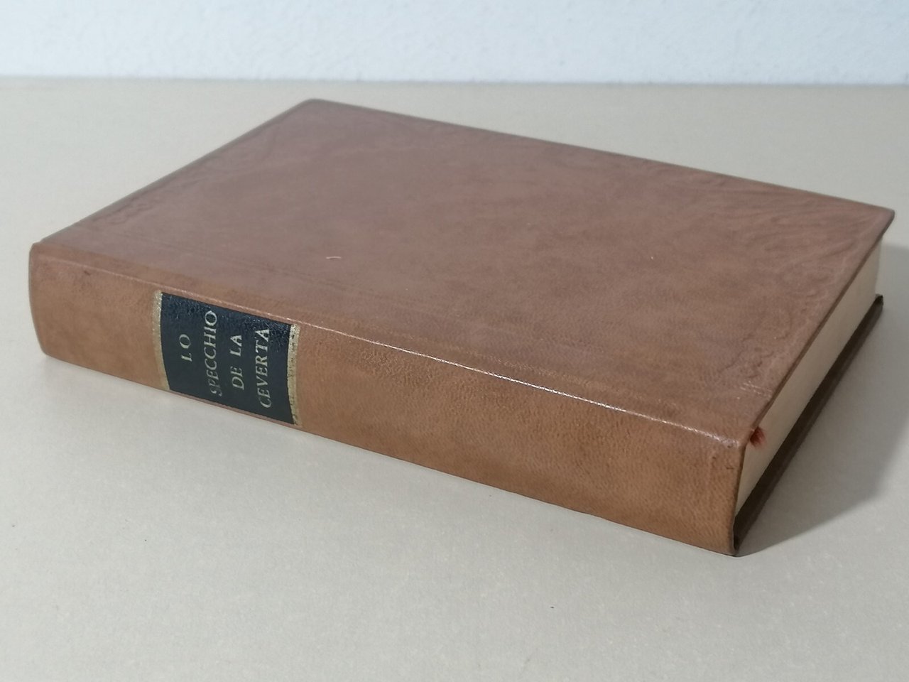 Lo Specchio Della Cevertà Ovvero Galateo Napoletano Scherzo Morale Vottiero …