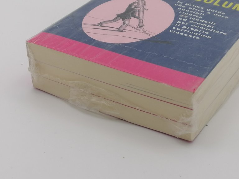 Lotto 3 Libri 99 Modi Per Scrivere Un Curriculum Lavoro …