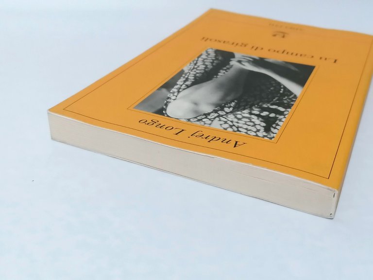 Lu campo di girasoli