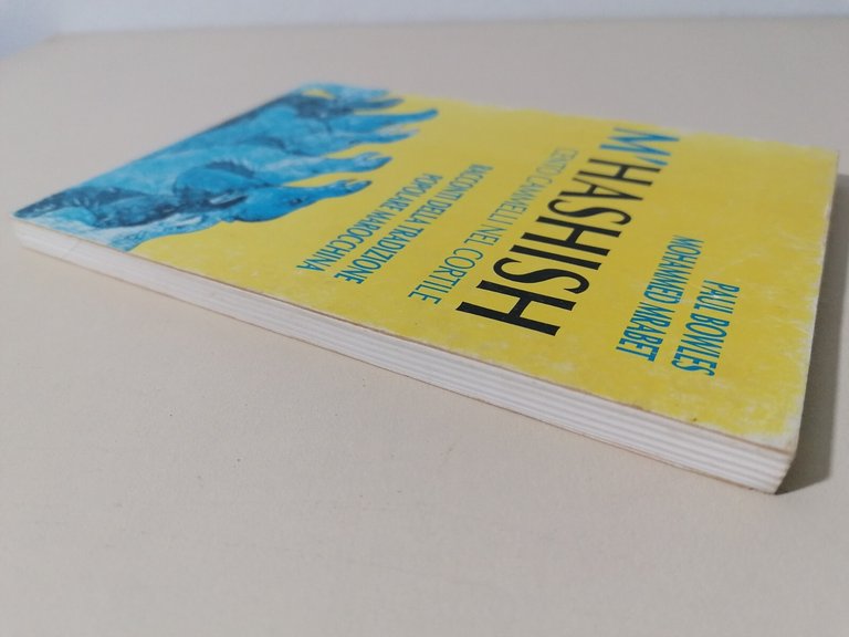 M'Hashish. Cento cammelli nel cortile