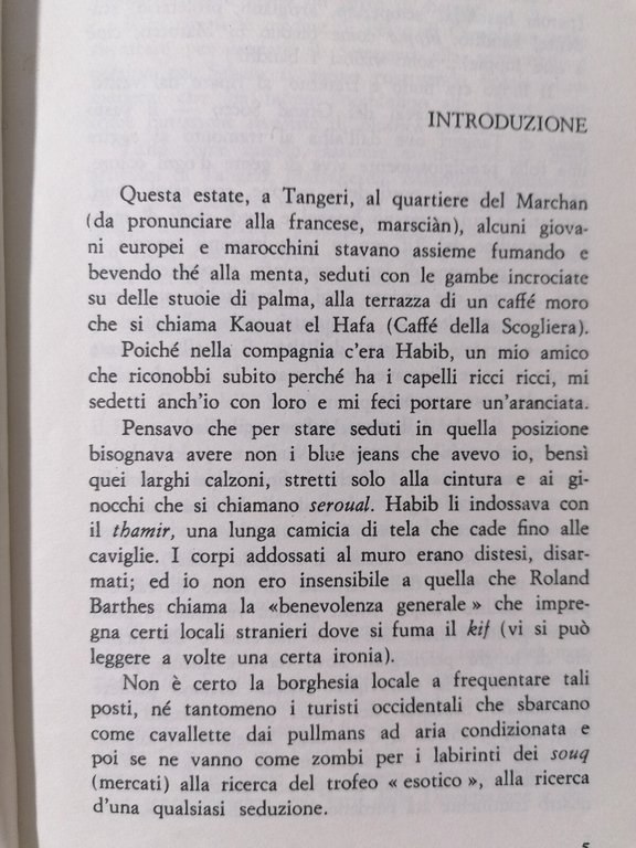 M'Hashish. Cento cammelli nel cortile