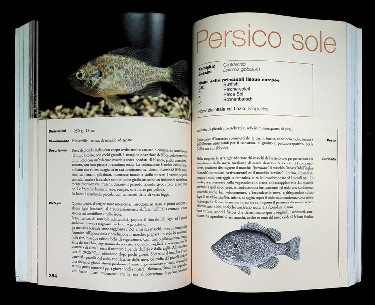 Manuale Della Pesca. Ambiente, Fauna, Pesca, Attrezzi Leggi Delle Acque … | Immagine Gallery 10