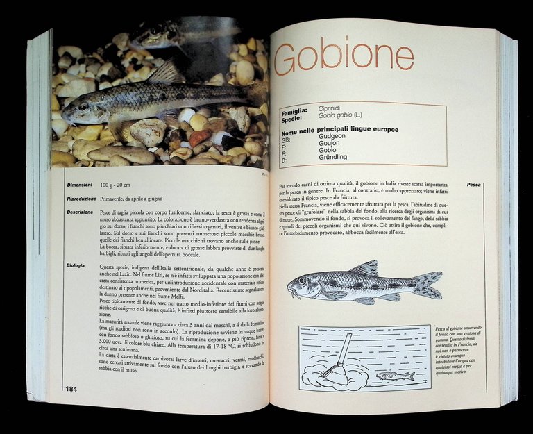 Manuale Della Pesca. Ambiente, Fauna, Pesca, Attrezzi Leggi Delle Acque … | Immagine Gallery 8