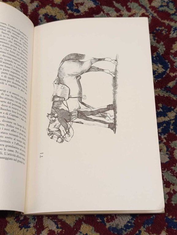 Manuale di Equitazione | Immagine Gallery 5