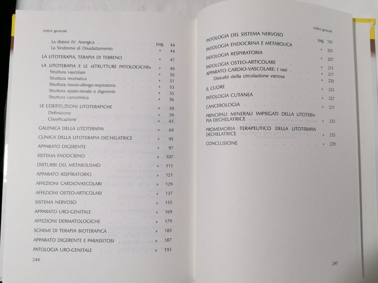 Manuale di litoterapia dechelatrice Libro Bergeret Tétau, Ipsa 1987 8876760466 | Immagine Gallery 6