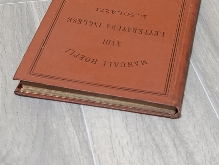 Manuale Hoepli Letteratura inglese