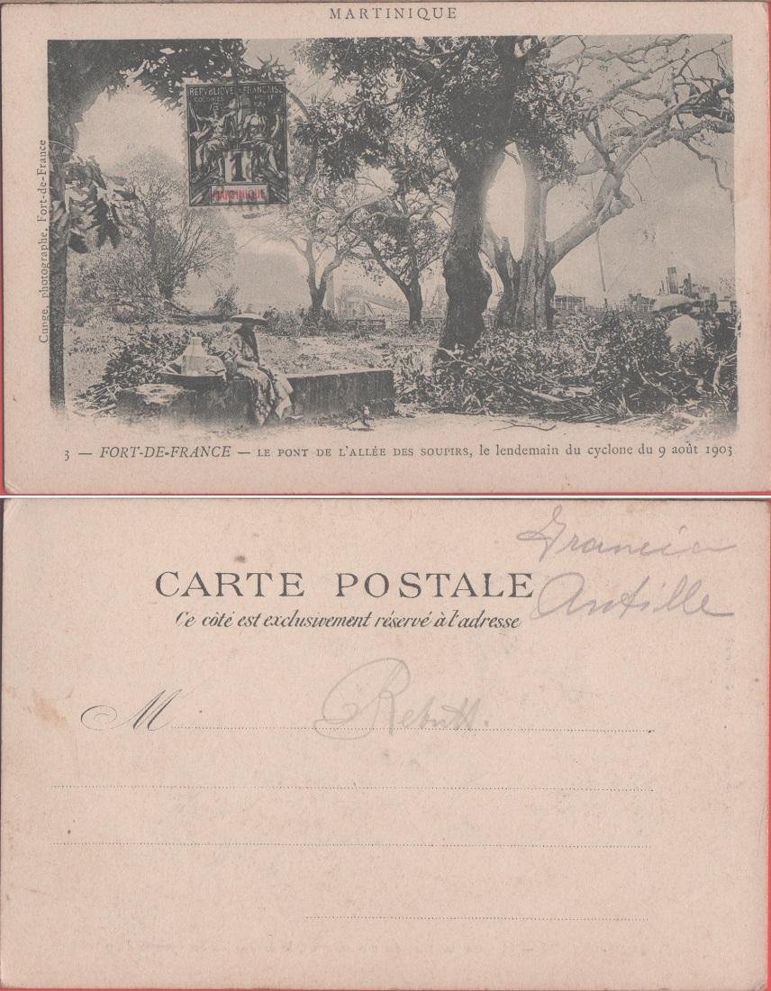 Martinica. Fort de France. Le pont de l'Alee des supires … | Immagine principale