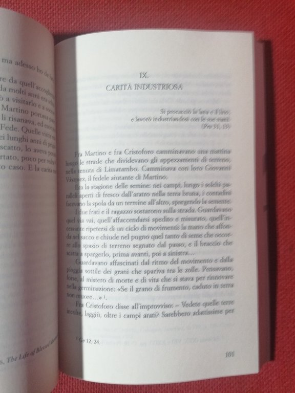 Martino De Porres i Fioretti Libro Giuliana Cavallini Città Nuova …