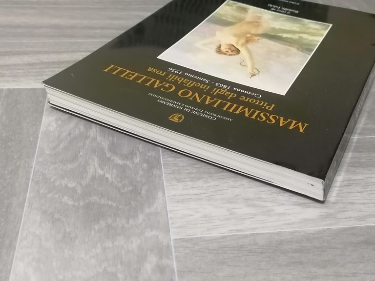 Massimiliano Gallelli Pittore Dagli Ineffabili Rosa Libro Falchi Lalli Sanremo