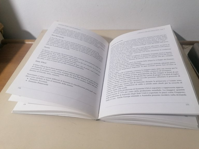 Materie Prime Capire Per Guadagnare Libro Labianca Commodity Trading 8890132418