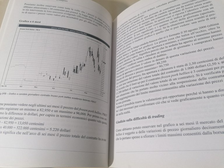 Materie Prime Capire Per Guadagnare Libro Labianca Commodity Trading 8890132418