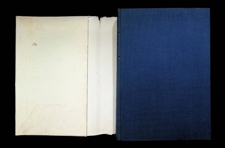 Medici Malati e Farmacisti 1 Libro Benedicenti Rimedi Organismo 2 …