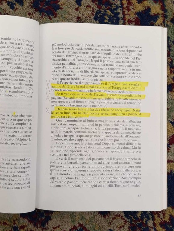 Messcciarisse. Un'Insieme di Chiacchiere e Racconti, alla Rinfusa, senza particolare … | Immagine Gallery 8