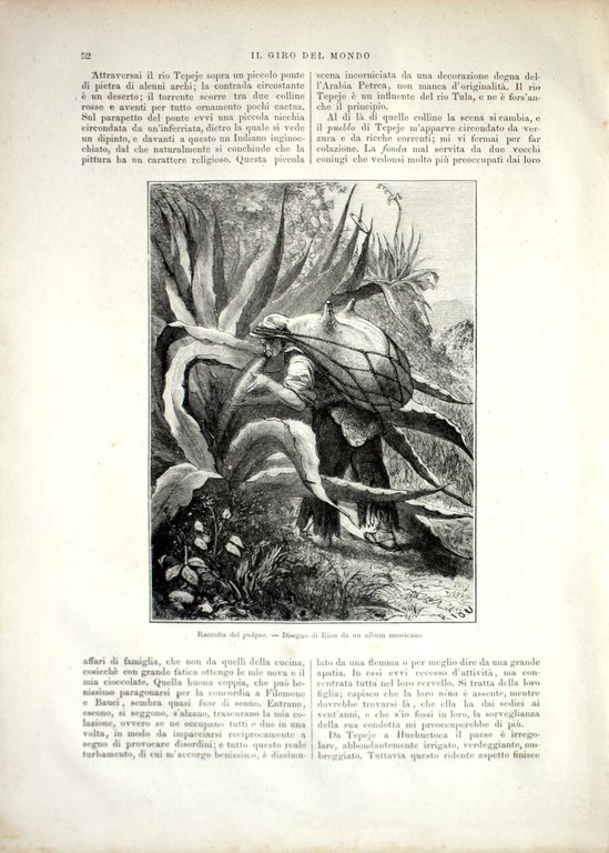 messico: Raccolta del pulque/ Montagne degli Organi . Stampa 1864 | Immagine Gallery 2