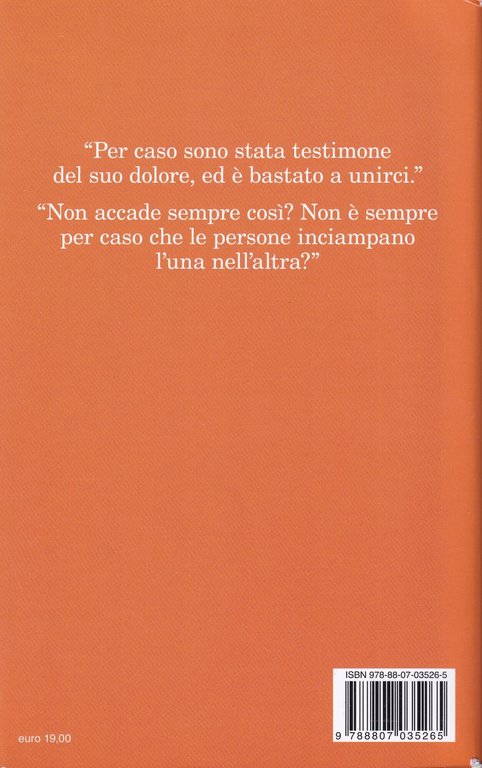 Mi limitavo ad amare te