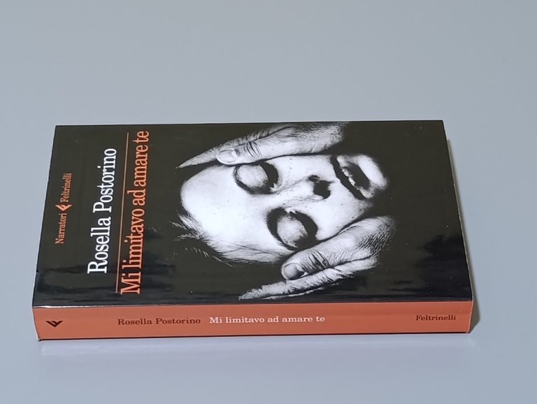 Mi limitavo ad amare te