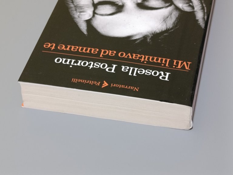 Mi limitavo ad amare te