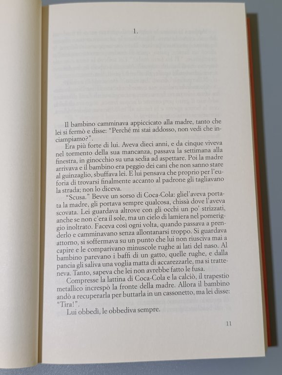 Mi limitavo ad amare te