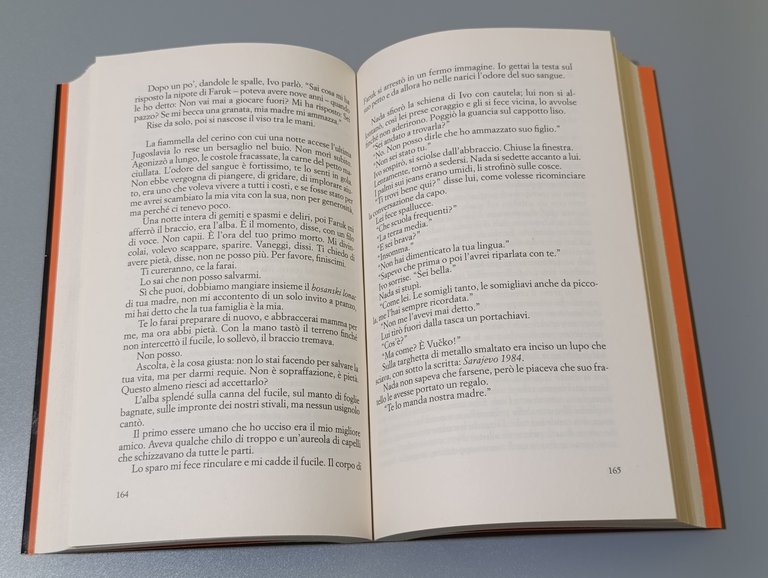 Mi limitavo ad amare te