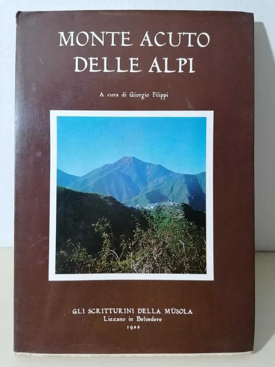 Monte Acuto Delle Alpi Scritturini Della Musola Libro Filippi Lizzano …