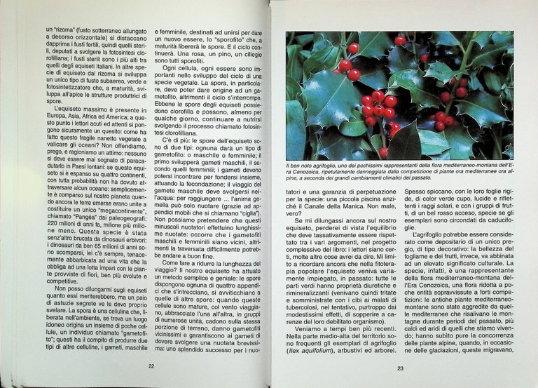 Monte Bignone Dove Le Alpi Incontrano Il Mare Libro Enrico …