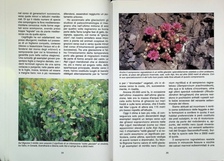 Monte Bignone Dove Le Alpi Incontrano Il Mare Libro Enrico …