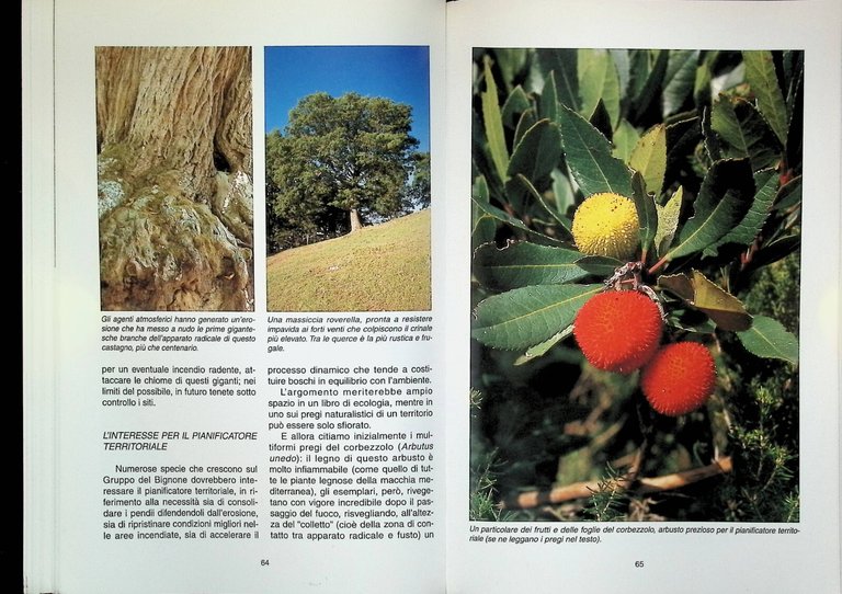 Monte Bignone Dove Le Alpi Incontrano Il Mare Libro Enrico …