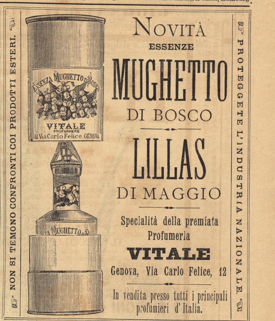 Mughetto di bosco, Lillas di maggio, specialità della profumeria Vitale, … | Immagine principale
