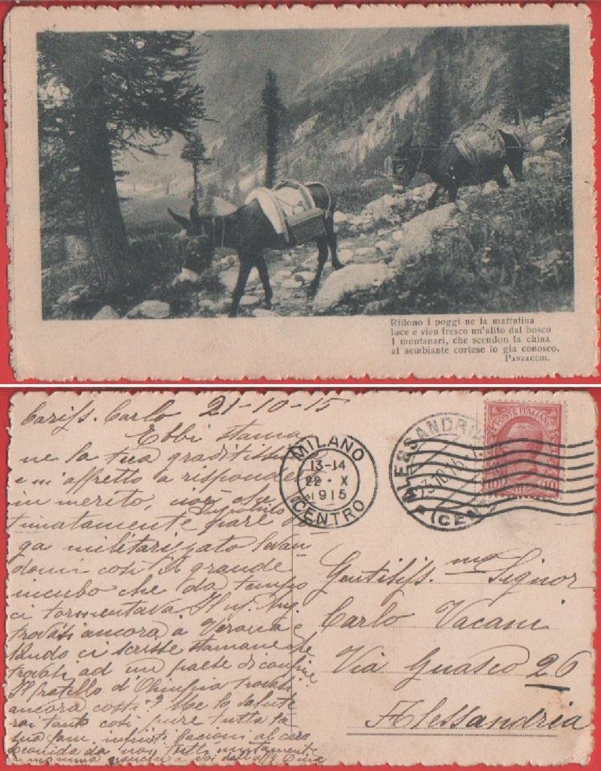Muli con versi di Panzacchi. Viaggiata 1915 | Immagine principale