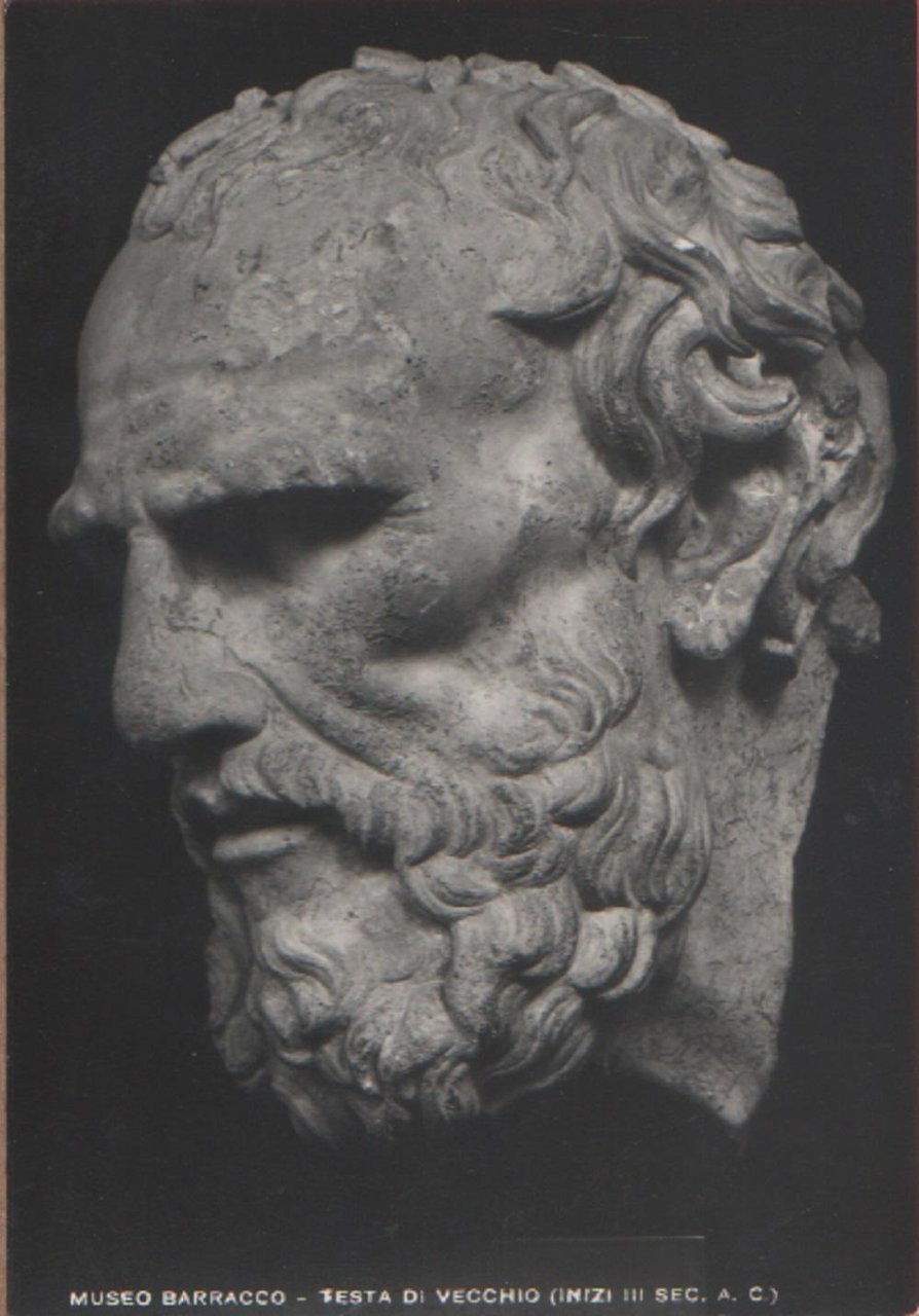 Museo Barracco. Testa di vecchio. Non viaggiata | Immagine principale