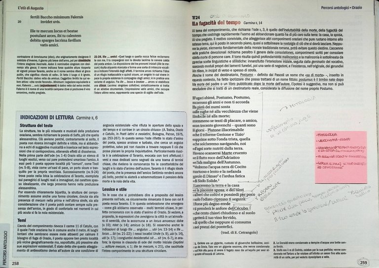 Narrant Volumi 1 e 2 Letteratura Antologia Latina Latino SEI …