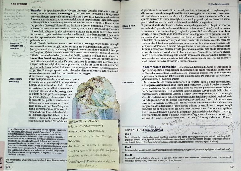 Narrant Volumi 1 e 2 Letteratura Antologia Latina Latino SEI …