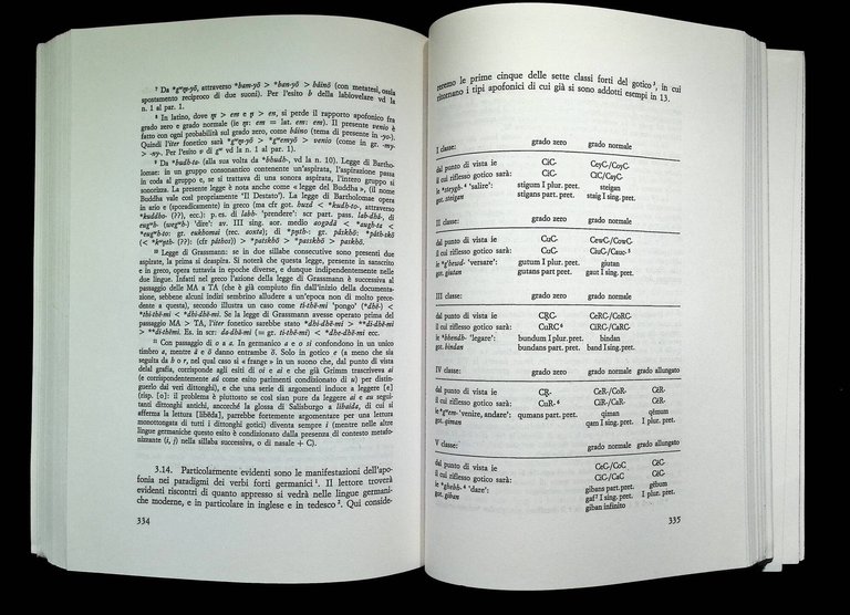 Navadhyayi : guida agli esami di linguistica e glottologia