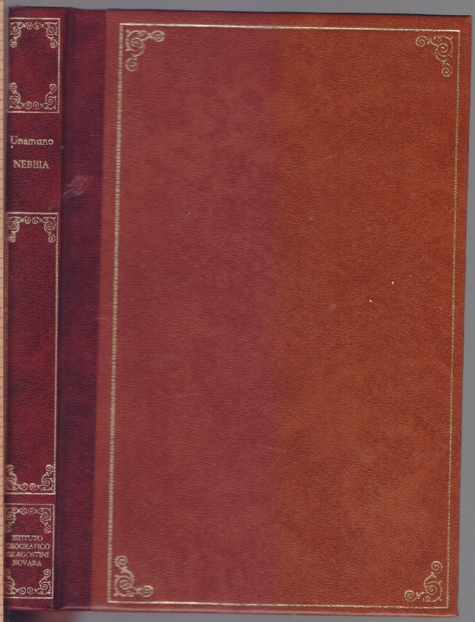 Nebbia - Miguel de Unamuno | Immagine principale