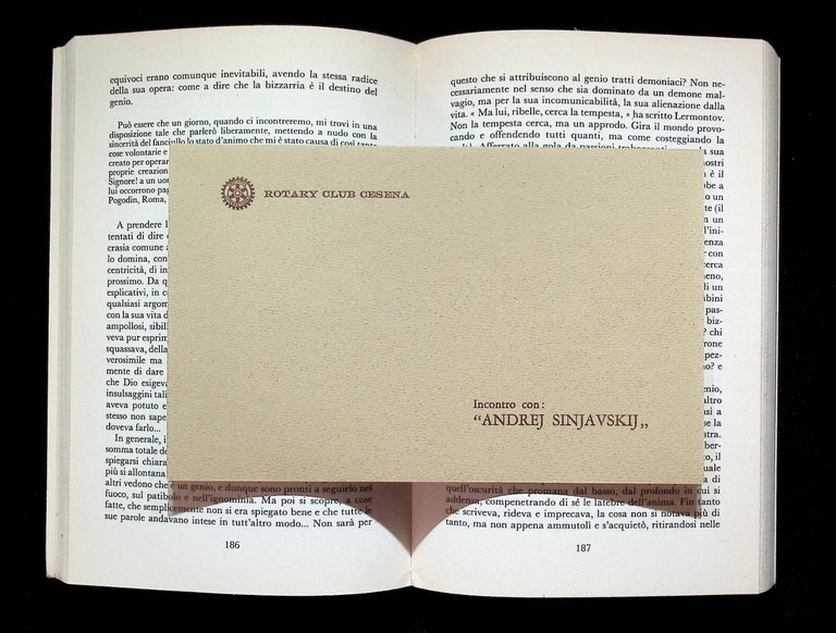 Nell'Ombra Di Gogol Libro Abram Terz Sinjavskij Garznti Prima Edizione …