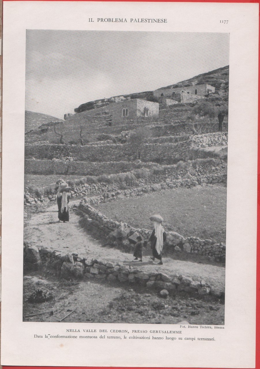 Nella valle di Cedron, presso Gerusalemme. Immagine 1937 | Immagine principale