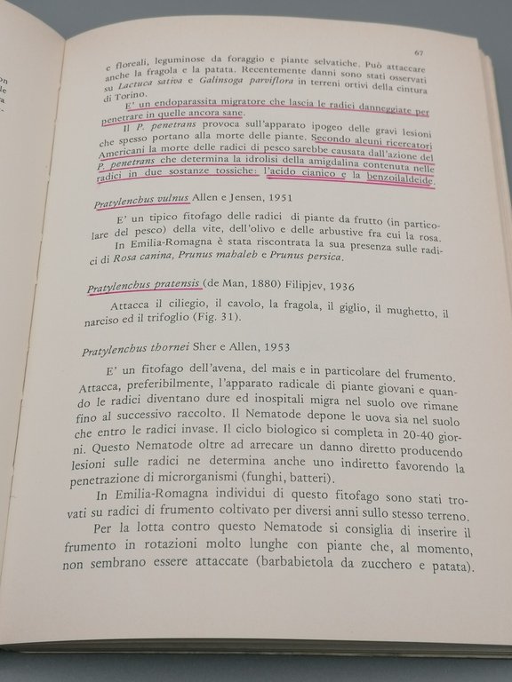 Nematodi Di Interesse Agrario Libro Renzo Tacconi Clueb Zoologia Agraria …