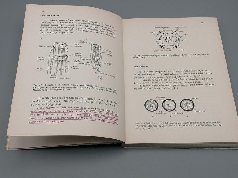 Nematodi Di Interesse Agrario Libro Renzo Tacconi Clueb Zoologia Agraria …