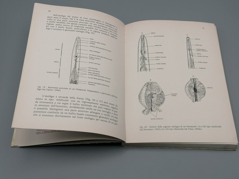 Nematodi Di Interesse Agrario Libro Renzo Tacconi Clueb Zoologia Agraria …