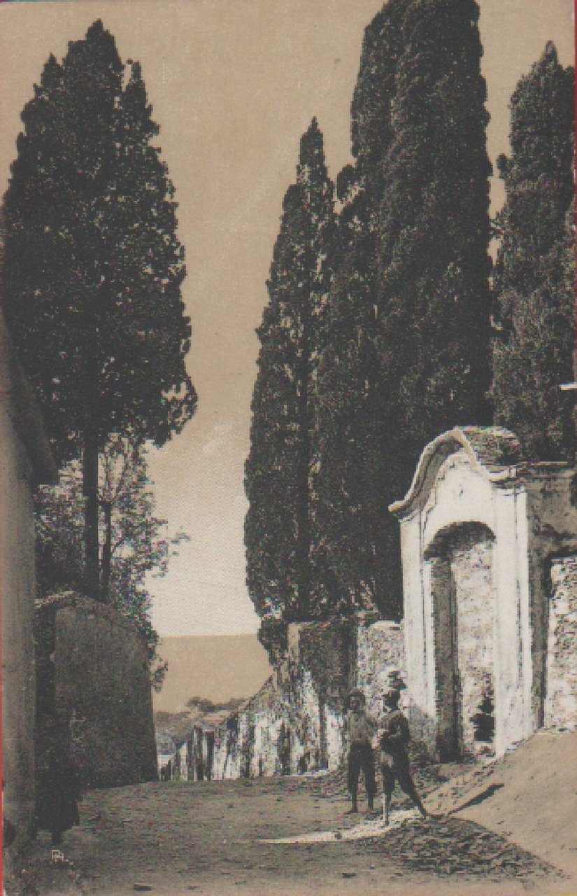 Nervi. Cipressi. Non viaggiata | Immagine principale