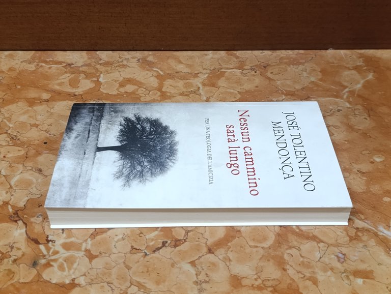 Nessun cammino sarà lungo. Per una teologia dell'amicizia | Immagine Gallery 3