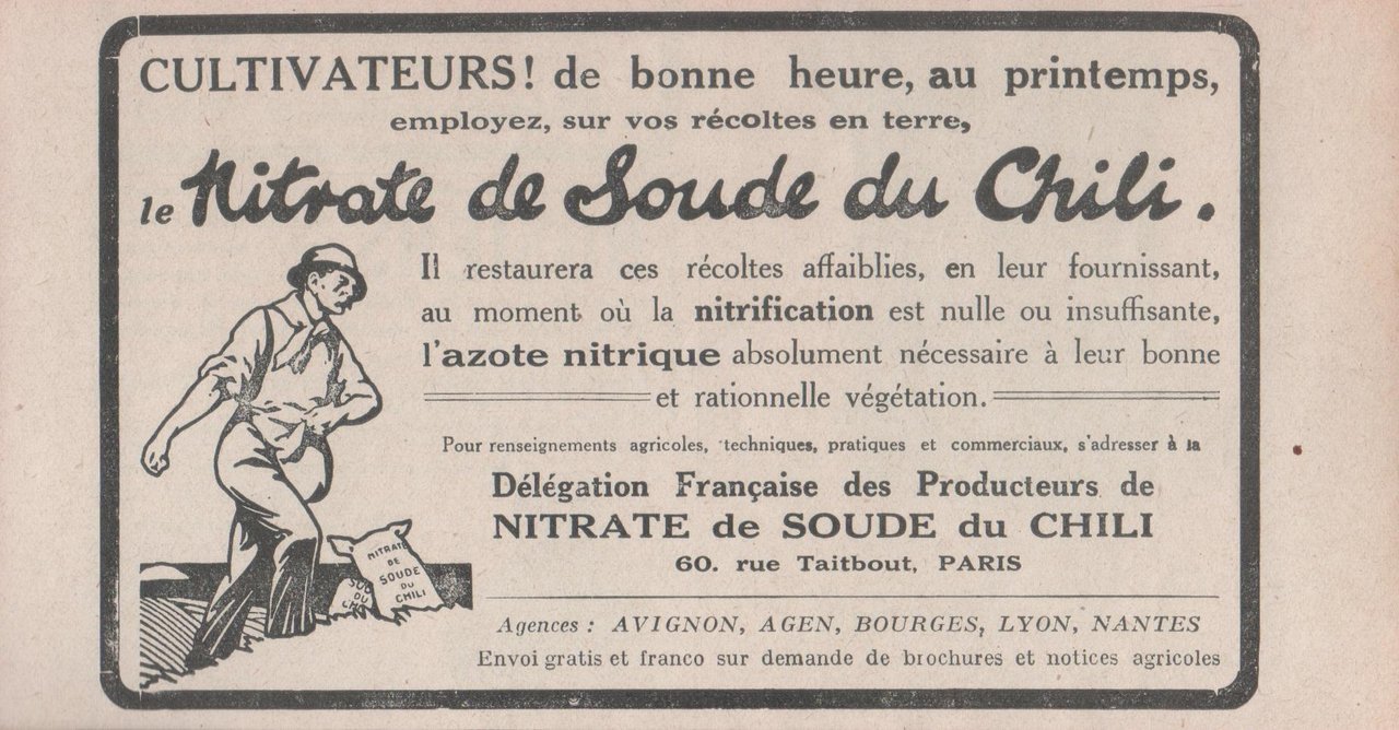 Nitrate de soude du Chili. Advertising 1924 | Immagine principale