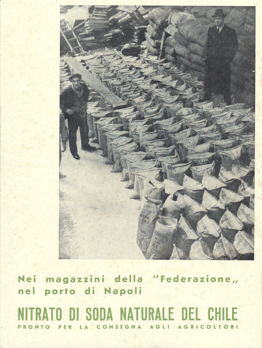 Nitrato di soda naturale del Chile/Montecatini per l'agricoltura. Advertising 1936 | Immagine principale