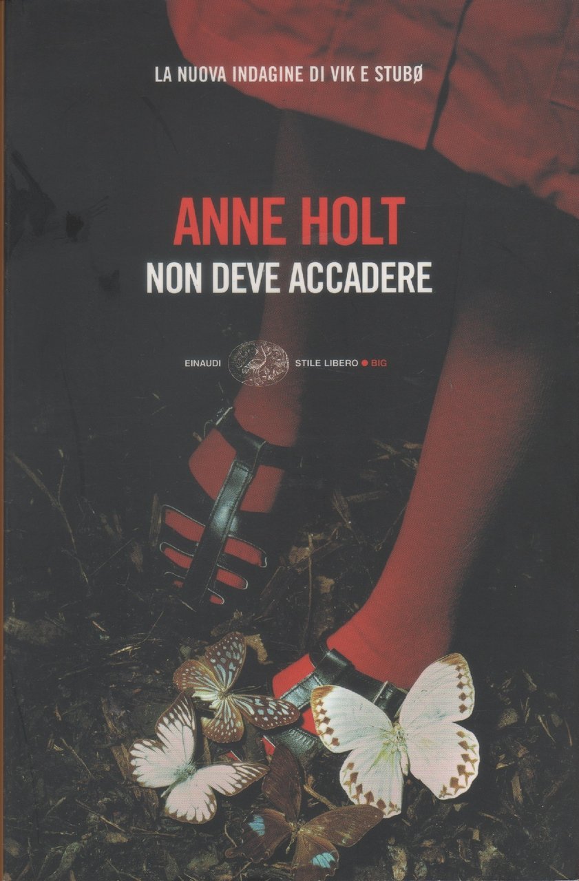 Non deve accadere - Anne Holt | Immagine principale