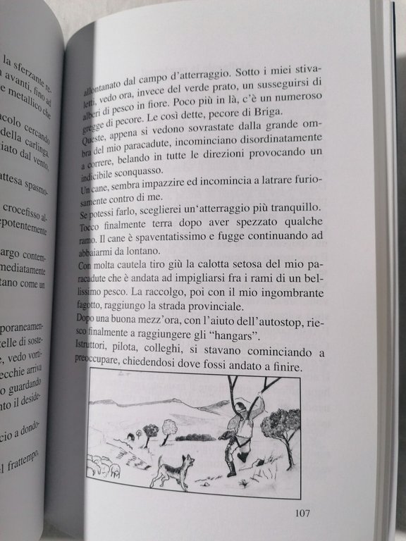 Non Sempre Azzurro è Il Cielo Libro Bruno Guerra Resistenza …